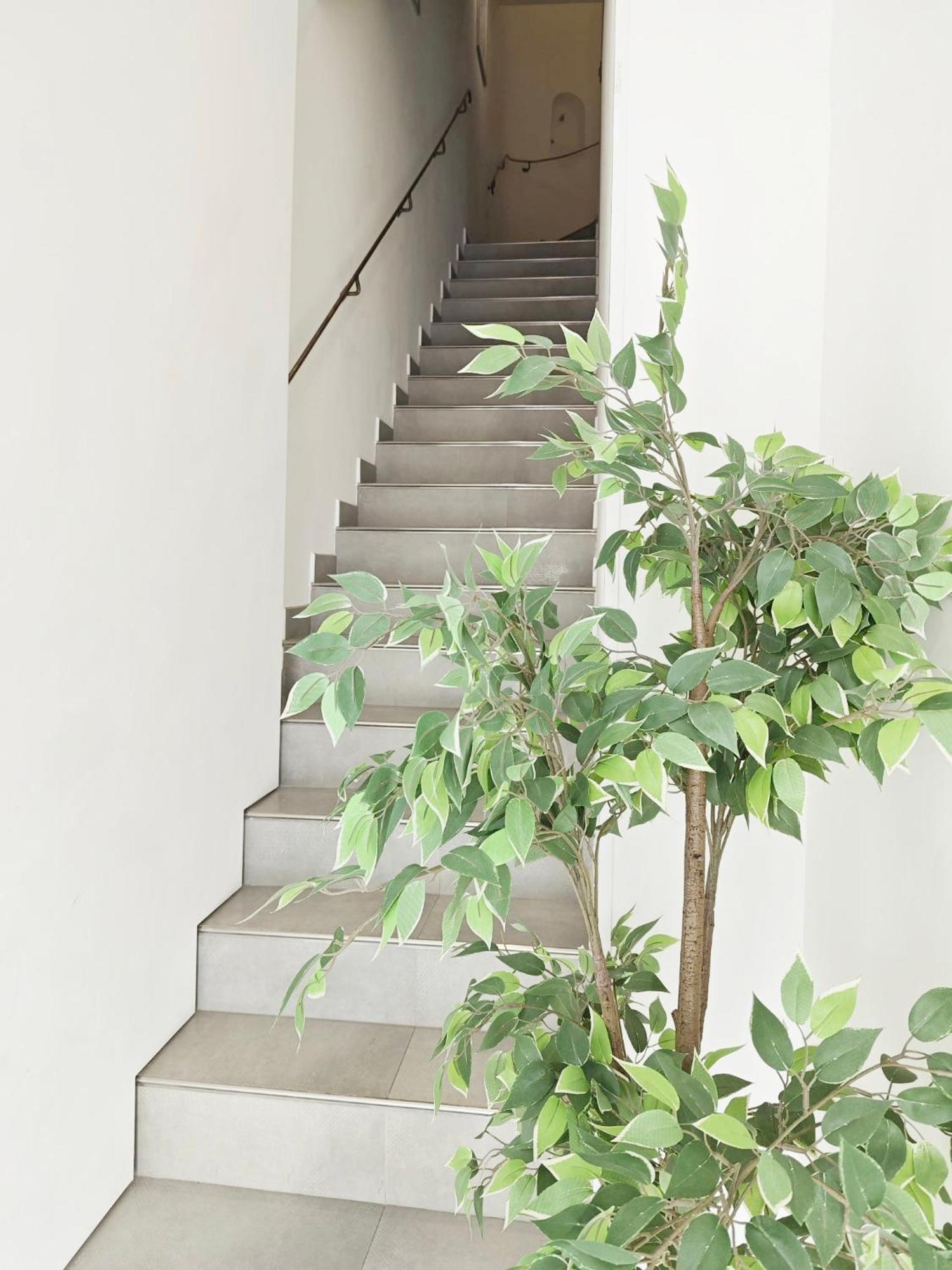 Cassis Loc - Chambre Meublee Экстерьер фото